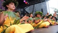 Thousands attended the Wellington Pasifika Festival