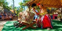 Demonstration of Drums (Nafa) at Tongan Village at PCC