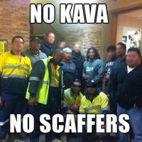 &#039;Entire scaffolding Industry in Queensland on strike over ban on kava&#039;