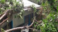 Tropical Cyclone Lola: Two people reported dead in Vanuatu