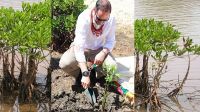 Crown Prince of Norway Prince Haakon, planting a mangrove to support the people of Tonga in their effort to build resilience against climate change, ‘Ahau