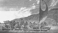 Polynesian seafarers discovered America long before Europeans, says DNA study