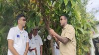 The Pacific Community rolls out upgraded Pacific Pest List Database