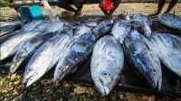 No WTO deal on fisheries subsidies for Pacific nations, but PANG pleased