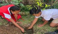 Tonga commits to achieve ambitious target: ‘Planting one million trees by 2023’