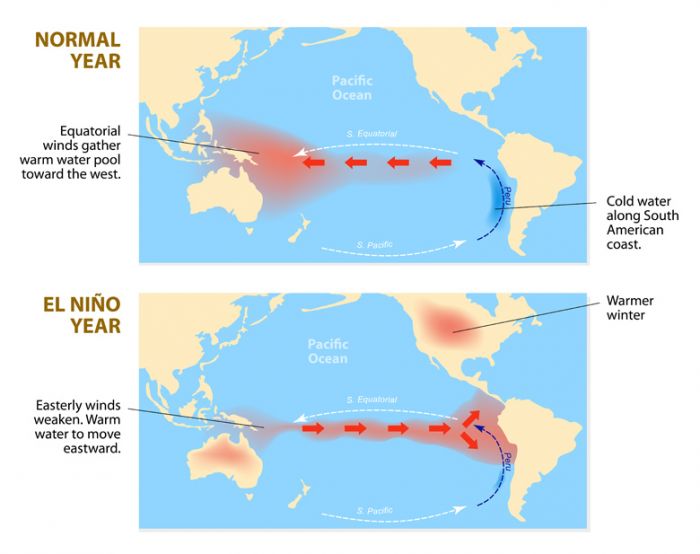 El Niño Has Arrived In The Kingdom