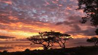 Laulau: Lau Tā-Vā ‘o e ‘Aho &amp; Pō FakaTonga