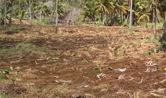 Drought declared in parts of Tonga as El Niño intensifies