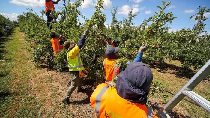 One-way quarantine-free travel for RSE workers starting in October
