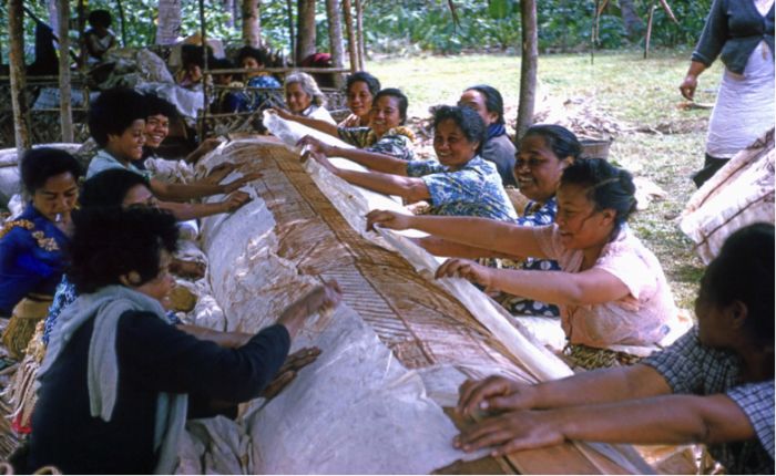 Tonga government committed to increasing women&#039;s participation in politics and public life