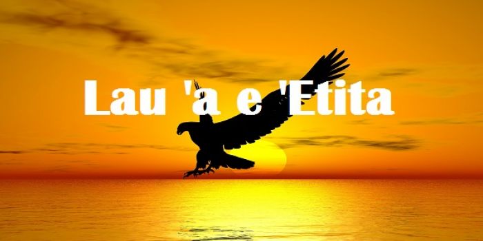 Tukuaki&#039;i &#039;o Viola Ulakai: Ko e lolomi nai &#039;eni e totonu ke &#039;ilo?