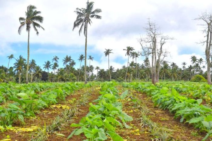 Tonga embarks on revolutionary agricultural path through Organic Learning Farms launch