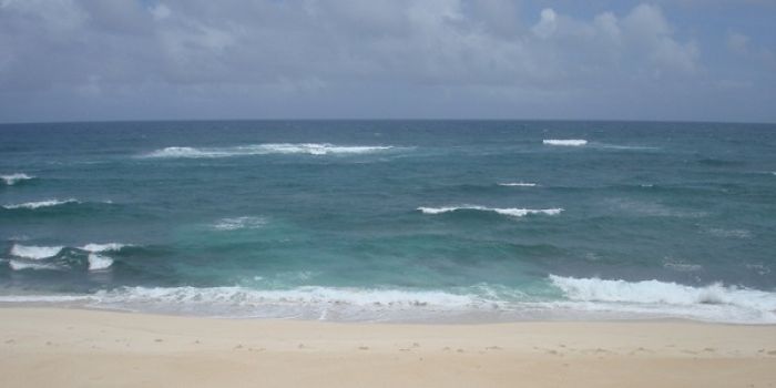 Near Kalaeokaunaʻoa (The Bay of the Mollusk), Kahuku, O’ahu, Hawaiʻi. Photo by Tevita &#039;O Ka&#039;ili