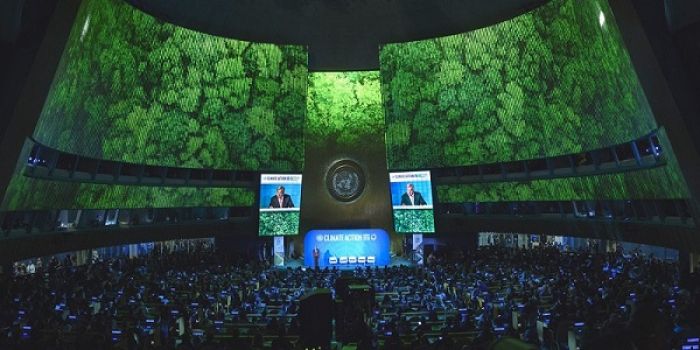 Climate change commitments continue